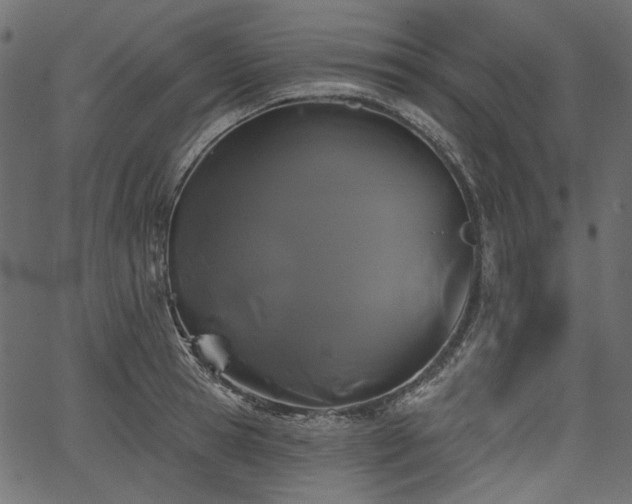 X0000067390945200603311255