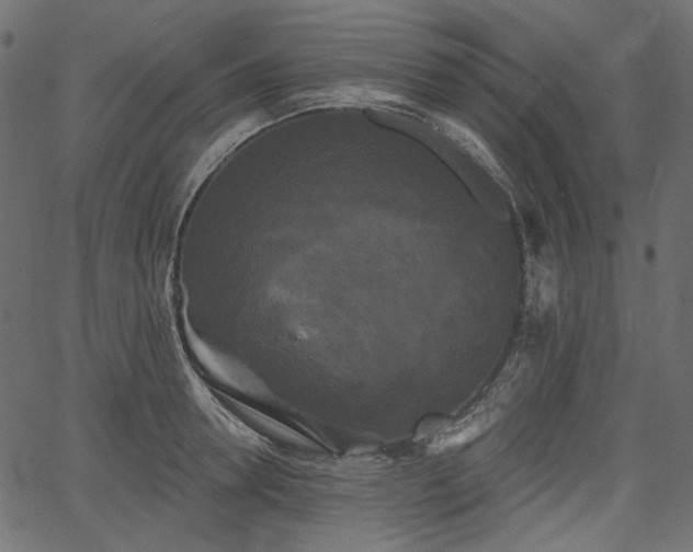 X0000067390946200603311255