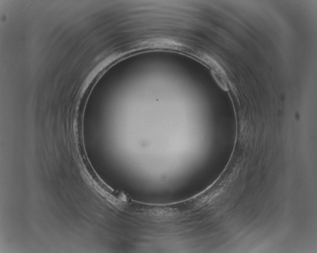 X0000067390947200603311255