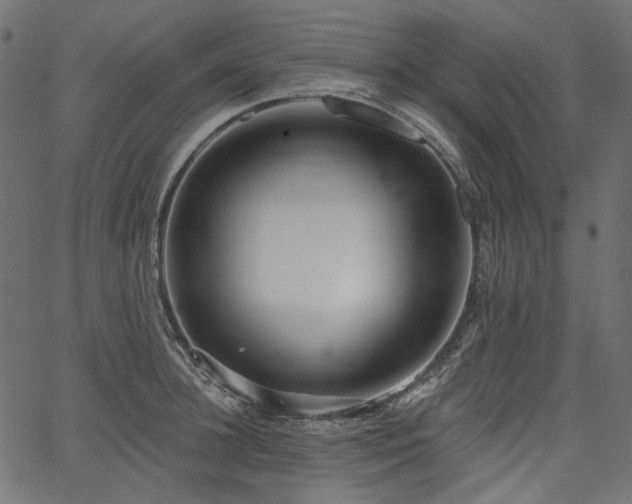 X0000067390948200603311255