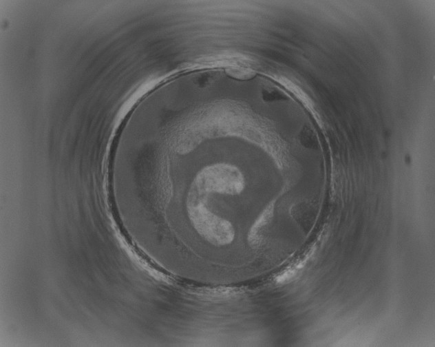 X0000067390949200603311255