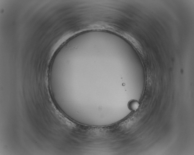 X0000067390950200603311255