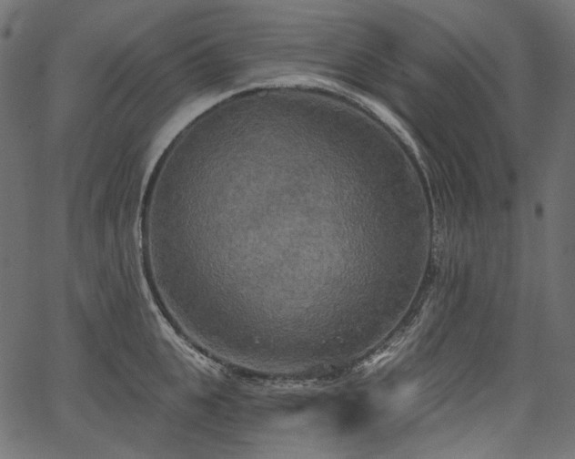 X0000067390951200603311255