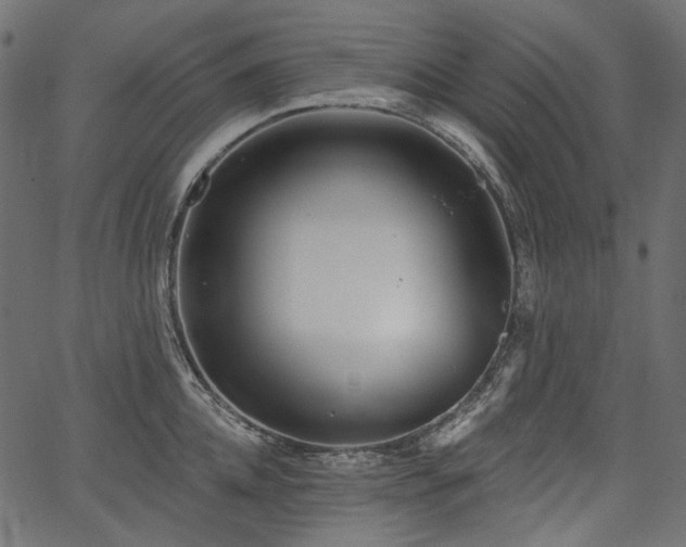 X0000067390952200603311255