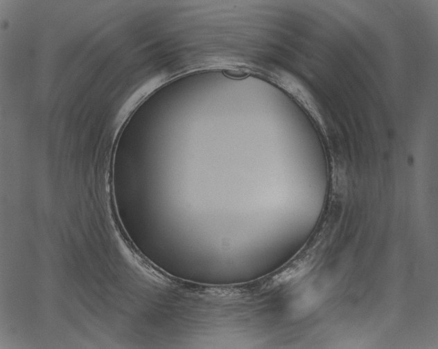 X0000067390954200603311255