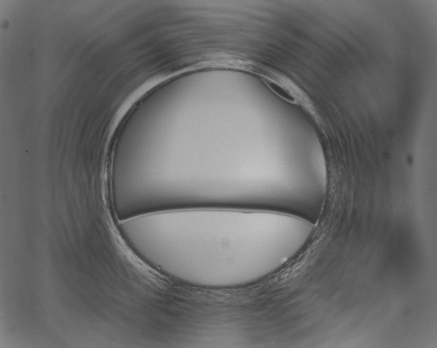 X0000067390955200603311255