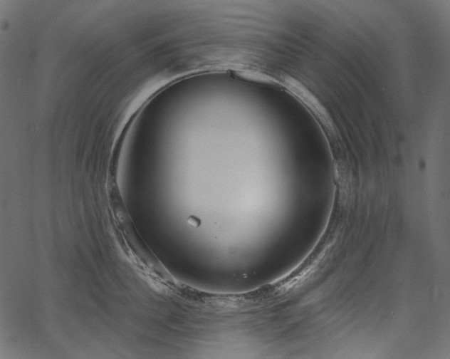 X0000067390956200603311255