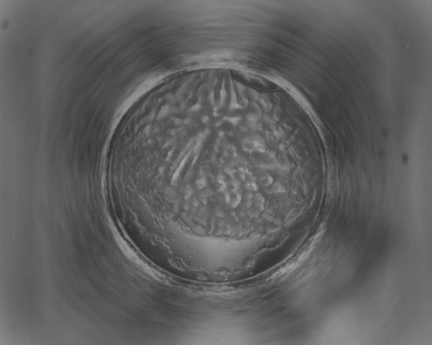 X0000067390957200603311255