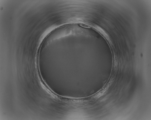 X0000067390958200603311255