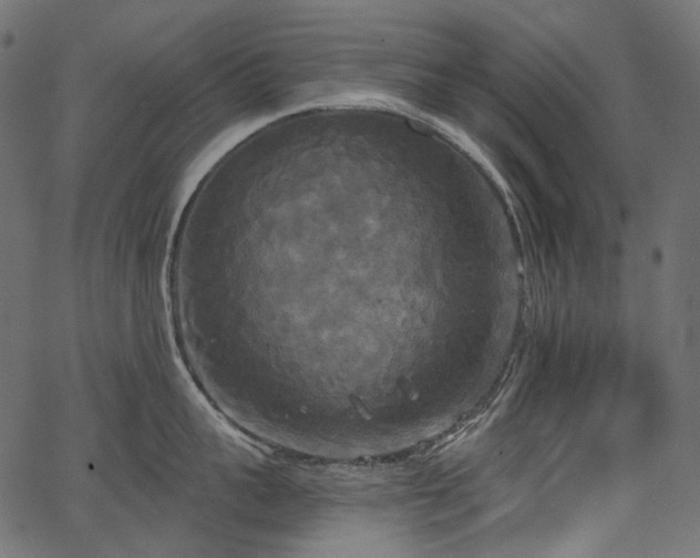 X0000067390959200603311256