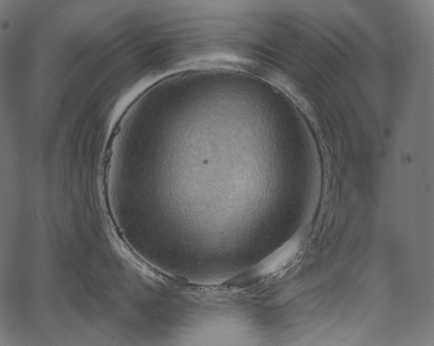 X0000067390960200603311256