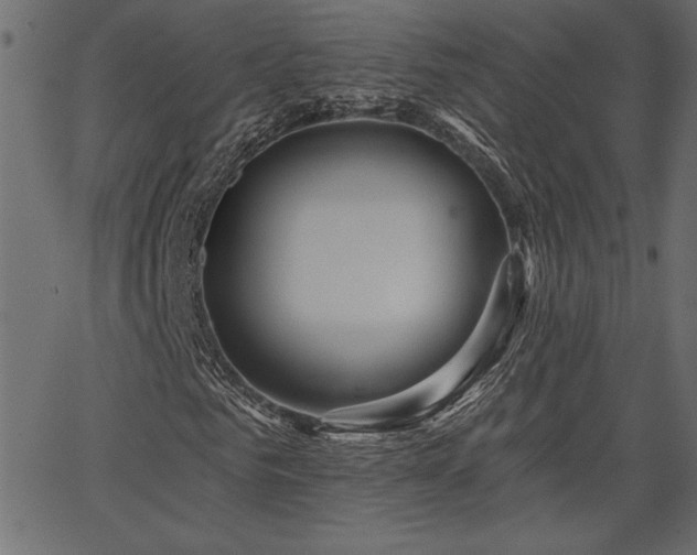 X0000067390961200603311255