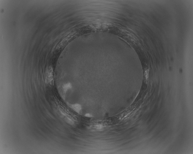 X0000067390963200603311255