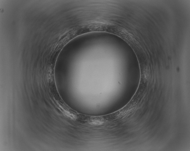 X0000067390964200603311255