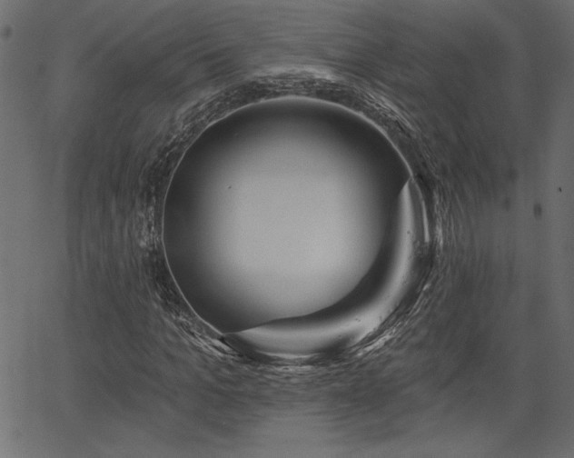 X0000067390965200603311255