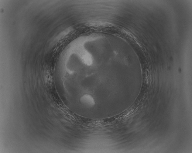 X0000067390966200603311255