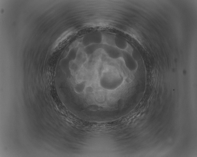 X0000067390967200603311255