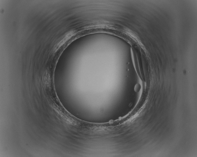 X0000067390969200603311255