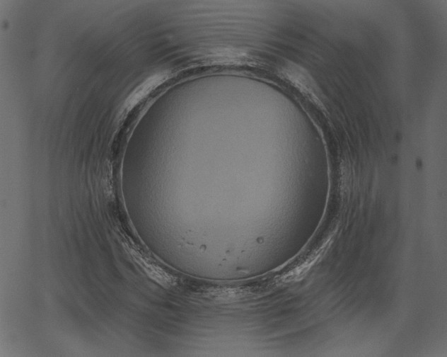 X0000067390970200603311255