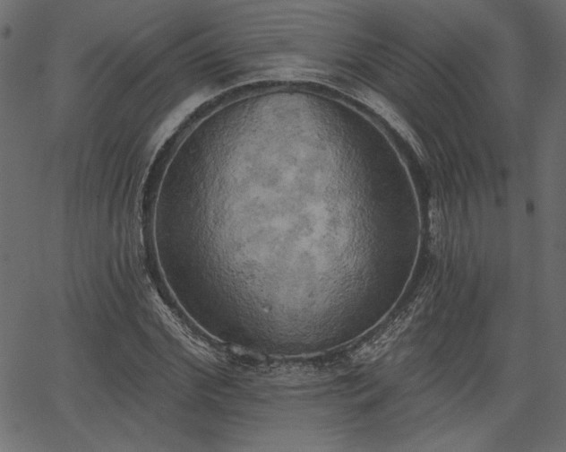 X0000067390972200603311255