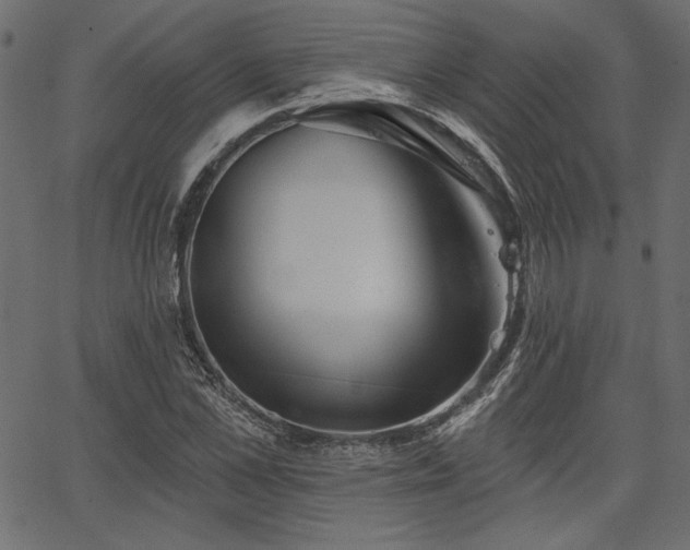 X0000067390973200603311255