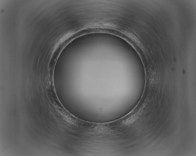 X0000067390974200603311255