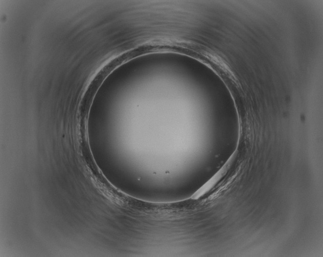 X0000067390976200603311255