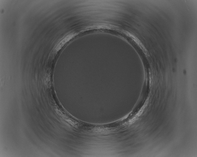 X0000067390977200603311254