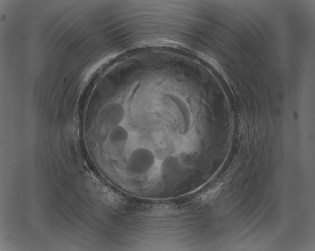 X0000067390979200603311254