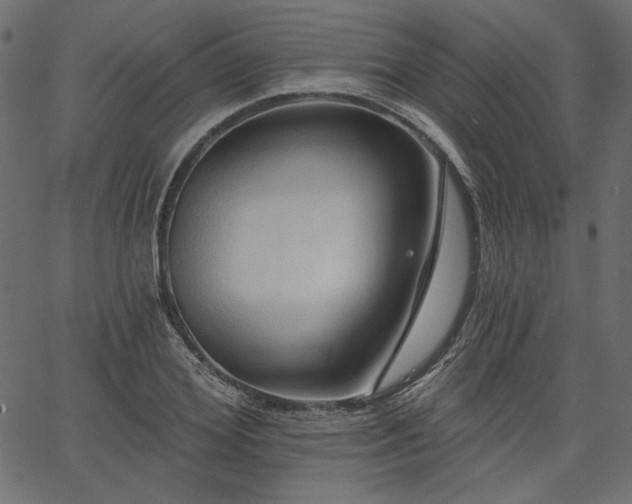 X0000067390980200603311254