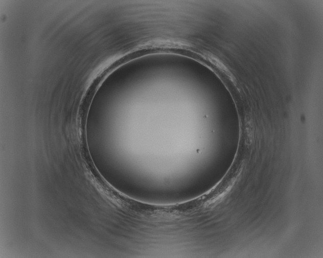 X0000067390981200603311254