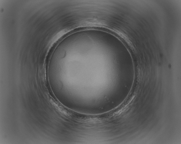 X0000067390982200603311254