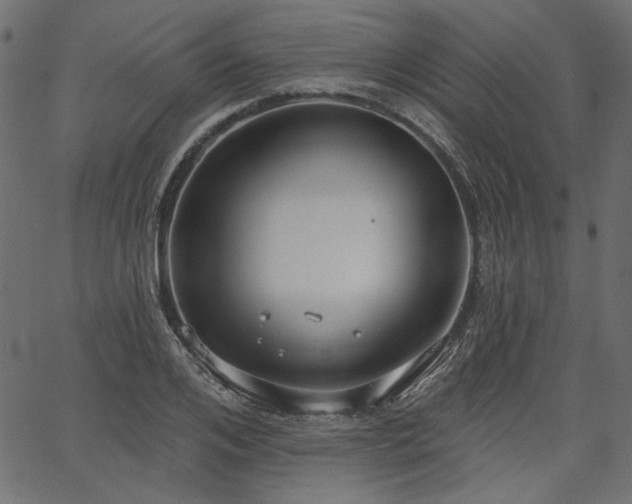 X0000067390984200603311254