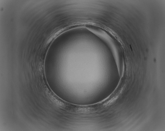 X0000067390985200603311254