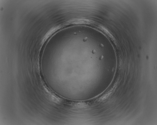 X0000067390986200603311254