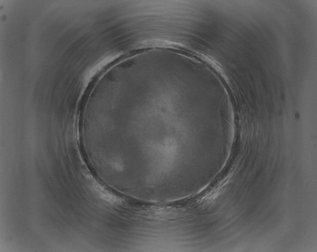 X0000067390987200603311254