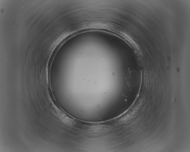 X0000067390988200603311254