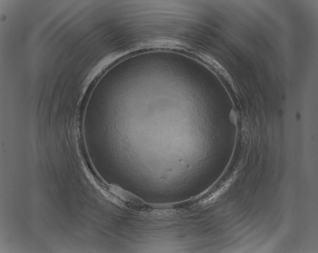 X0000067390989200603311254