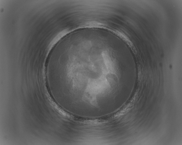 X0000067390990200603311254