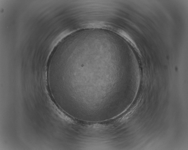 X0000067390992200603311254