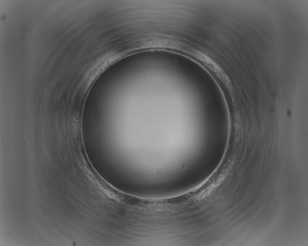 X0000067390993200603311254