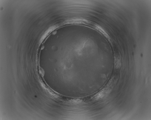 X0000067390994200603311254