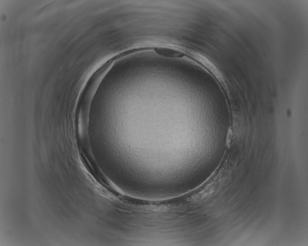 X0000067390996200603311254