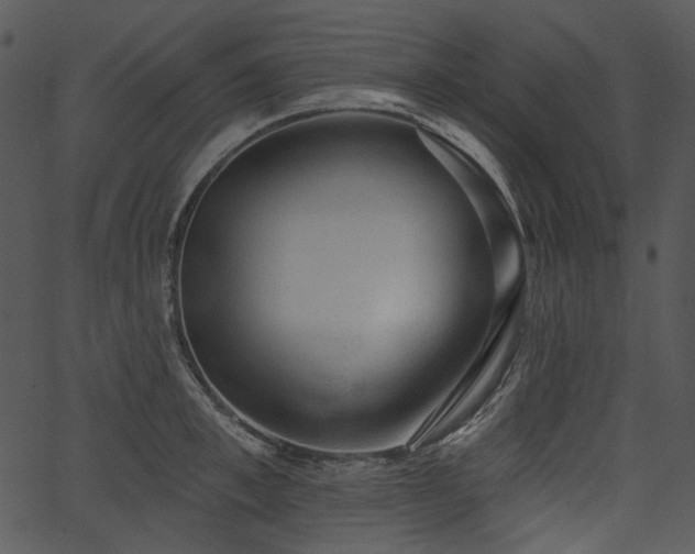 X0000067390997200603311254