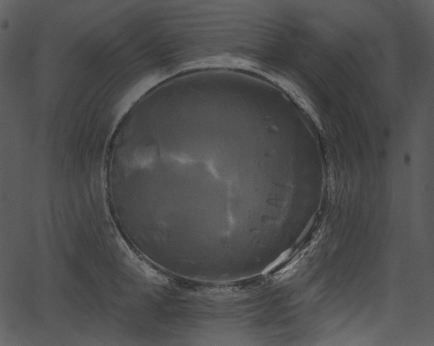 X0000067390998200603311254