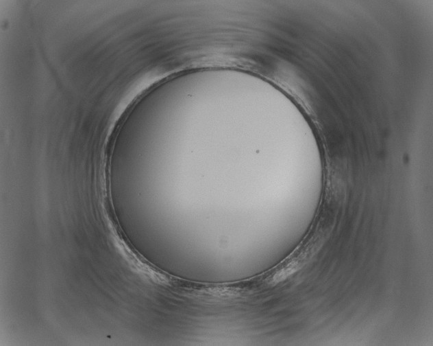 X0000067391000200603311254