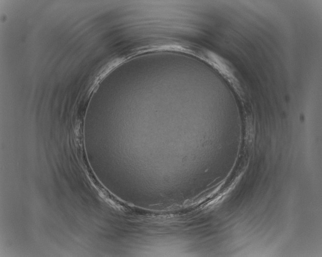 X0000067391001200603311254