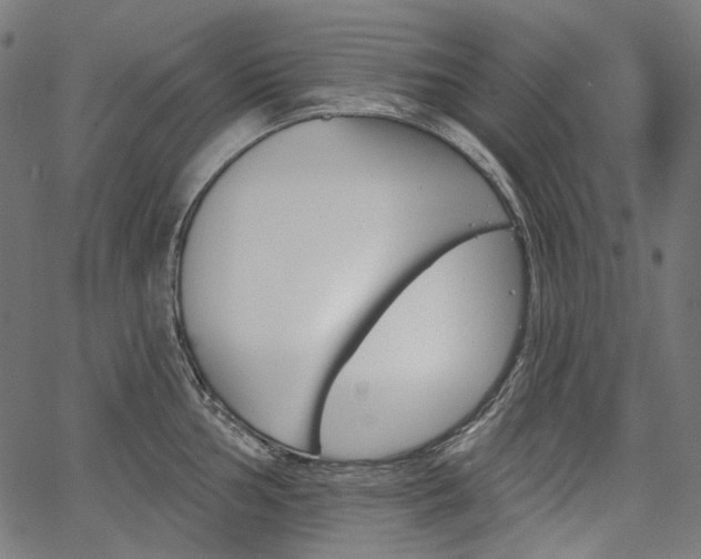 X0000067391002200603311254