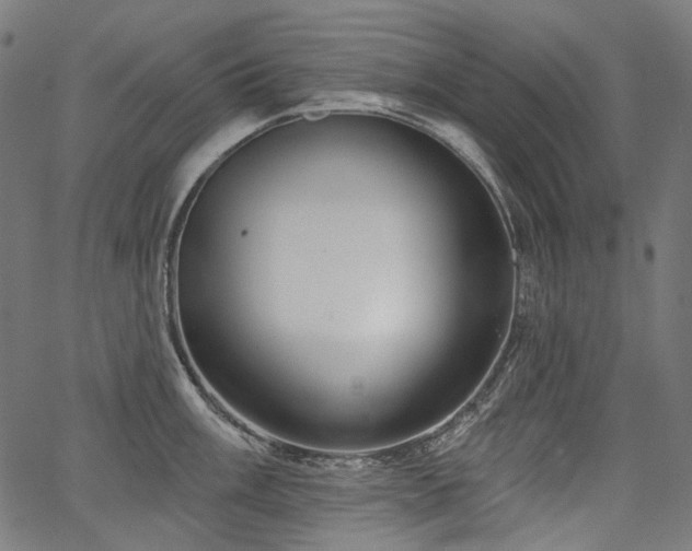 X0000067391003200603311254