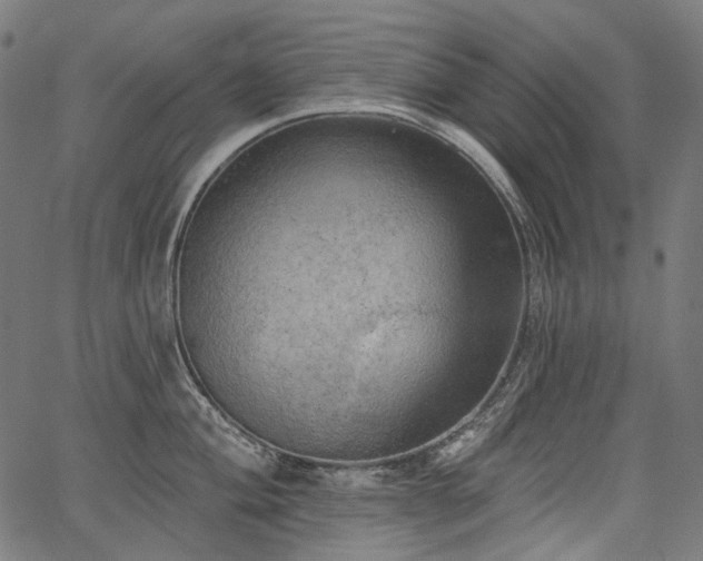 X0000067391004200603311254